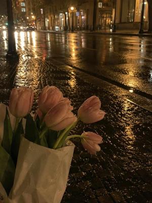 Chapter-1, The Night She Chose Herself