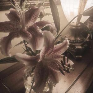 Chapter 4, Unwanted Sparks
