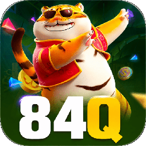 o84q3337