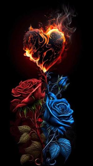 3.🌹THE WEDDING DAY🌹 4.🌹THE CHAOS🌹