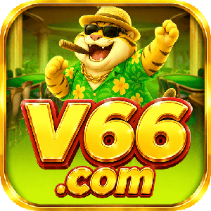 v66191