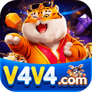 v4v494