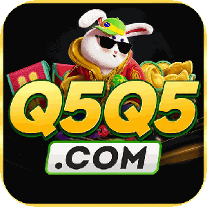 q5q5017