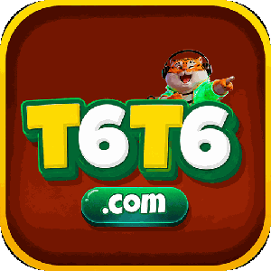 t6t62331