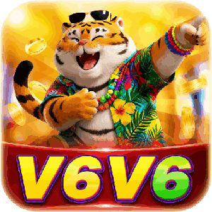 v6v65132