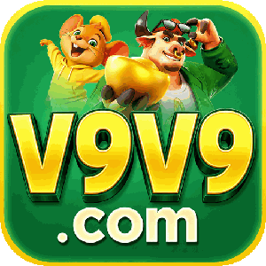 v9v93629