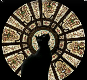 Lens_for_Litreature logo