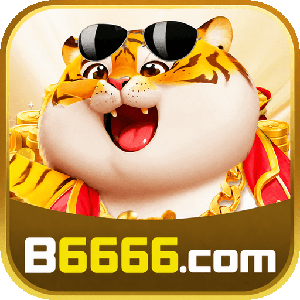 b66664882