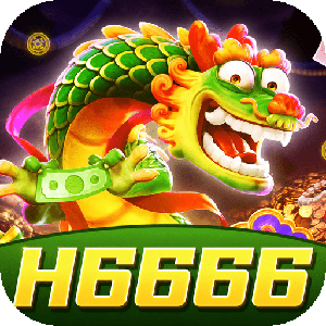 h66669561