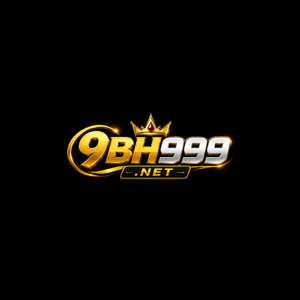9bh999 net logo