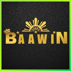 baawin640