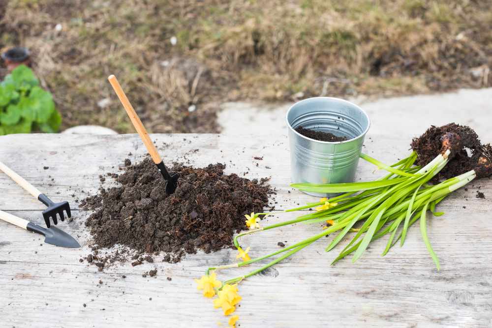 Top Benefits of Using Organic Fertilizers for Healthy Plant Growth
