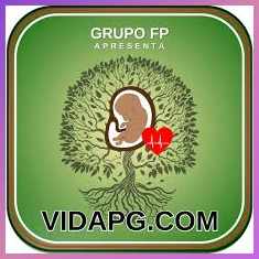 vidapg300