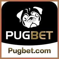 pugbet764