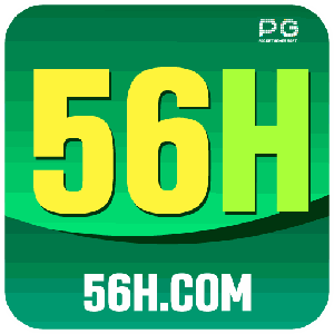 n56h114 logo