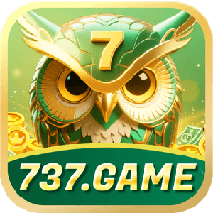e737game