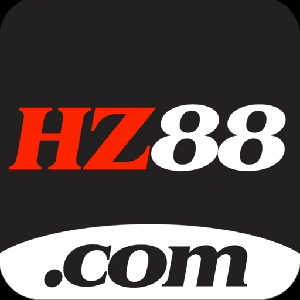 hz881331
