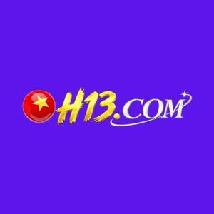 H13