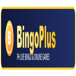 bingoplus fit