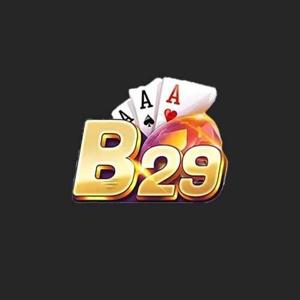 B29