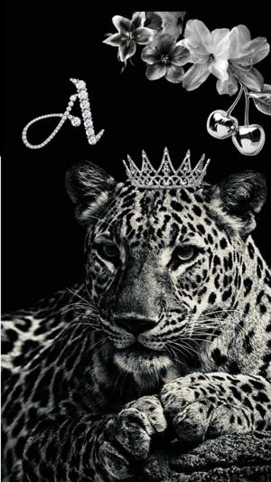 Aarya Noir🥀 logo