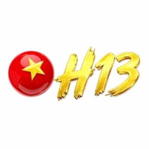 H13 com