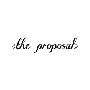 4.    THE PROPOSAL