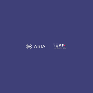 Team4lifespacesaria logo