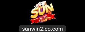 SUNWIN 2COCOM