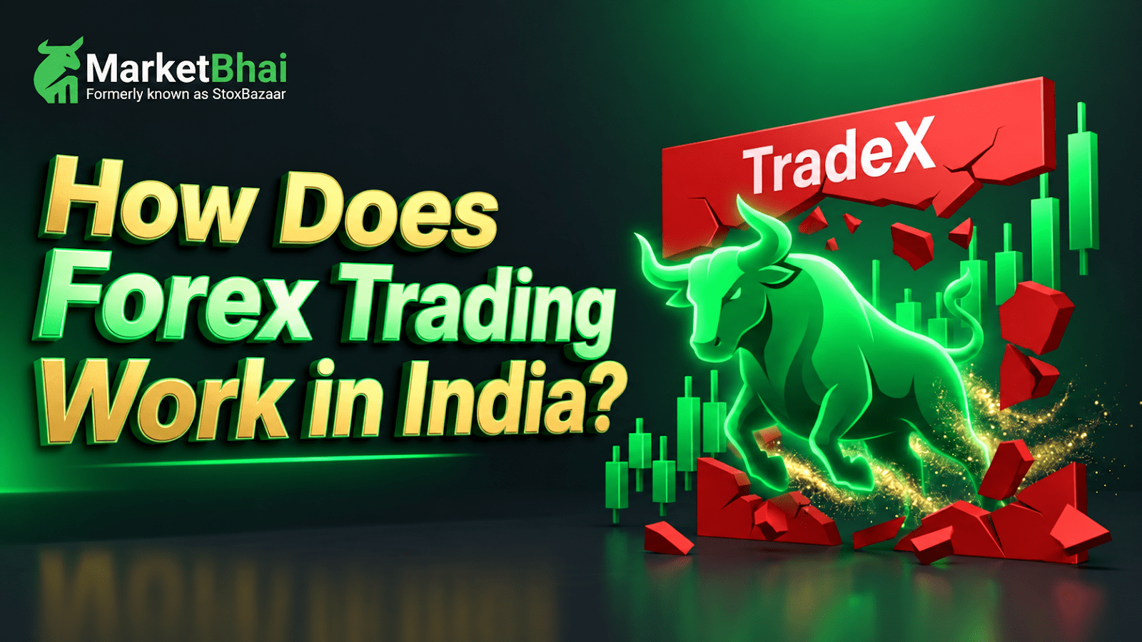 Forex Trading for Beginners: A Journey from Curiosity to Knowledge