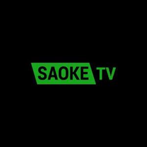Saoketv art