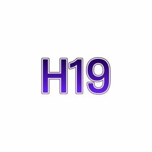 H19