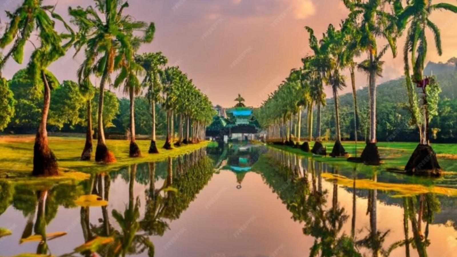 AN ULTIMATE WILDLIFE ADVENTURE IN KERALA FOR SINGAPORE TRAVELERS