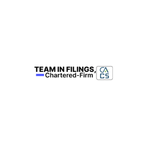 Team In Filings