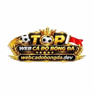 webcadobongdadev