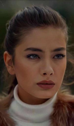 Chapter 49: The Price of Safety