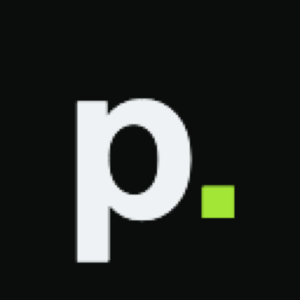 playze.io logo