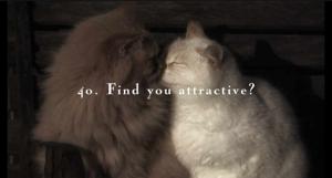 40. Find you attractive?
