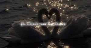 45. This is your last chance