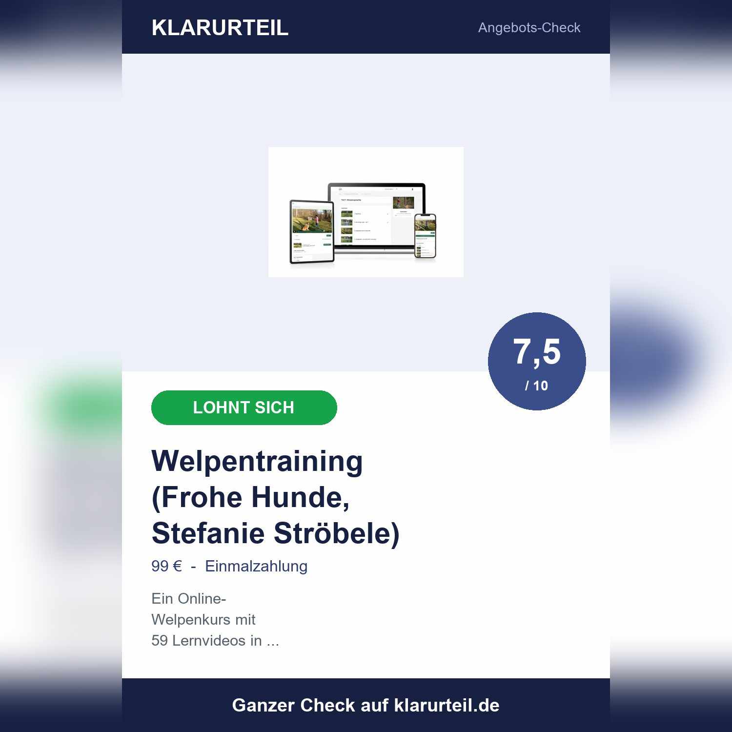Welpentraining Frohe Hunde im Check
