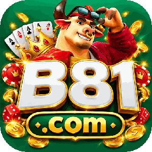 b8133