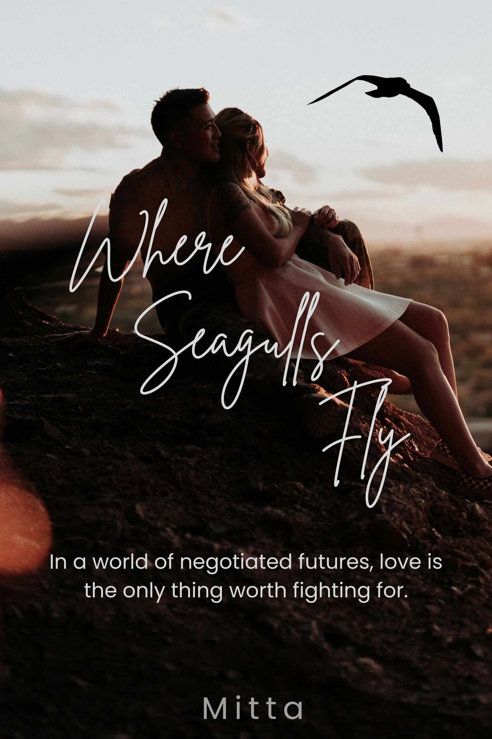 Where Seagulls Fly