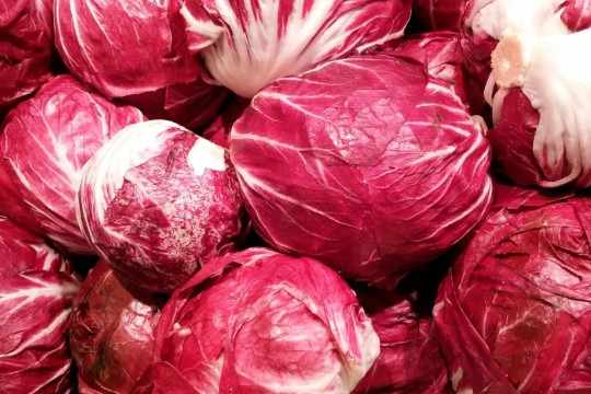 Natural Food Color Distributor | Foodrgb.com