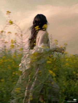 17. Aarohi