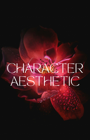 CHARACTER AESTHETIC