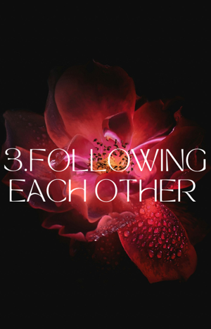 3. FOLLOWING EACH OTHER