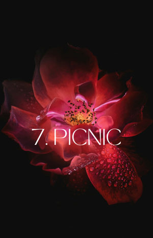 7. PICNIC