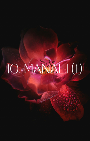 10. MANALI (1)