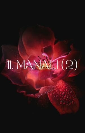 11. MANALI (2)