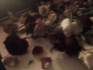 Broken lovers.